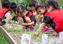 Mengenal Esensi dan Keunikan Sistem Sekolah Alam