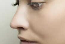 Hidung, Gerbang Udara dan Aroma