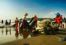 Potensi Pertanian dan Perikanan Indramayu Dinilai Mampu Didorong Melalui KDKMP