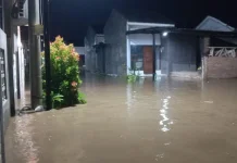BPBD Minta Warga Tingkatkan Kepedulian Lingkungan Cegah Banjir