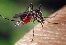 Daftar Penyakit yang Disebabkan oleh Virus