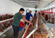 Telur Hasil Ternak Jadi Pasokan Bakery Warga Binaan Lapas Indramayu