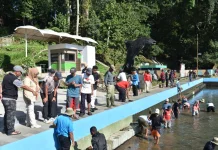 Warga Cigugur Gotong Royong Bersihkan Balong Girang