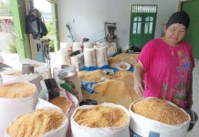 Pilihan Pakan Puyuh Terbaik agar Pertumbuhan Optimal
