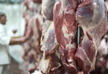 Tips praktis dan awet simpan daging kurban