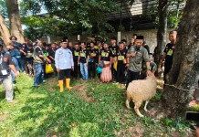 Juru Sembelih Halal Kabupaten Cirebon Perkuat Edukasi Penyembelihan Kurban