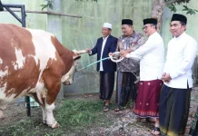 Pemkab Cirebon Gelar Salat Iduladha 1447 H di Masjid Agung Sumber