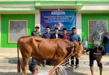 LDII Kuningan Distribusikan 5.298 Paket Kurban