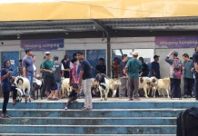 Kurban Jemaat Manislor Utamakan Semangat Berbagi