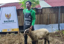 Peternak Desa Sayana Nikmati Dampak Program Balai Ternak BAZNAS