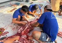Momentum Idul Adha, Lapas Indramayu Bagikan Ratusan Paket Daging Kurban