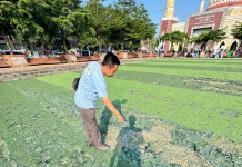 Dibangun Tahun 2021, Rumput Sintetis Alun-Alun Majalengka Kini Mulai Rusak