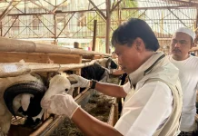Wali Kota Cirebon Pastikan Hewan Kurban di Lima Titik Sehat dan Layak