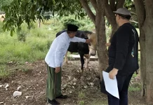 PKB Kuningan Distribusikan 2.780 Paket Daging Kurban
