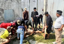 Tina Wiryawati Sebar Kurban di Empat Daerah Dapil 13 Jabar