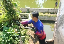 King Cobra 3,5 Meter Gegerkan Warga Lebakwangi