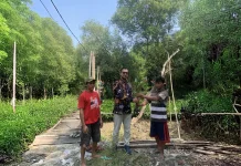 PNM Tanam 29 Ribu Pohon di 58 Cabang se-Indonesia