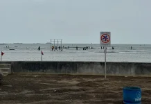 Hari Lingkungan Hidup Sedunia 2026, DLH Cirebon Ajak Warga Rawat Kawasan Pesisir