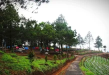 Bukit Kanaga Majalengka, Surga Wisata Alam di Kaki Gunung Ciremai yang Kian Populer