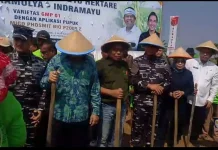 Presiden Prabowo Perintah Hashim Hadiri Penanaman Kedelai Nasional di Indramayu