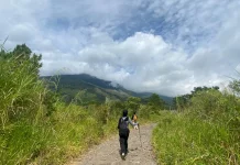Bukit Lambosir: Destinasi Hiking Ringan dan Camping Seru untuk Quality Time