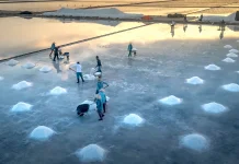 Dari Laut ke Baterai: Potensi Besar Sodium untuk Masa Depan