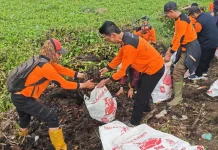 Bawa Dump Truck dan Ratusan Karung, KTH Silihwangi Bersihkan Waduk Darma