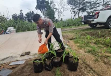 Satlantas Polres Majalengka Tanam Jagung Dukung Swasembada Pangan 2026