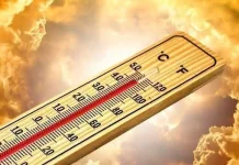 Tak Hanya Sekadar Suhu, Waspadai Pula Heat Index