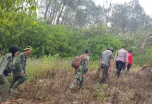 Patroli TNGC Diperketat, TNI-Polri dan Polhut Cegah Karhutla di Majalengka