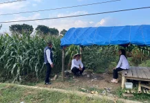 Satresnarkoba Polres Majalengka Dampingi Petani Jagung Dukung Ketahanan Pangan