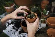 Libur Sekolah Menyenangkan Melalui Kegiatan Berkebun Bersama Keluarga Tercinta