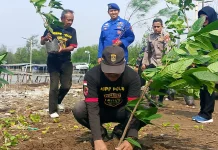 olres Indramayu dan KBPP Polri Tanam 100 Pohon di Karangsong