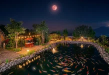 Melewatkan Strawberry Moon? Catat Full Buck Moon 2026, Waktu dan Lokasi Terbaiknya