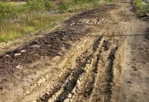 Penanganan Jalan Rawaurip-Beringin Masuk Agenda Prioritas Pemkab Cirebon