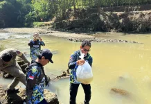 Pulihkan Ekosistem Sungai, Ribuan Bibit Ikan Dilepas di Majalengka