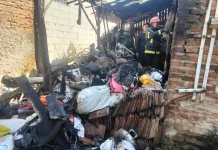 Si Jago Merah Amuk Rumah Warga di Kertasmaya Indramayu