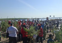 Kepala PPN Kejawanan Ajak Semua Pihak Perluas Konservasi Pesisir