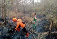 Respons Cepat Aparat Padamkan Kebakaran Lahan 2 Hektare di Majalengka