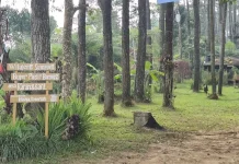 Pasir Batang, saat Hiking Menjadi Cara Baru Berwisata
