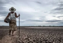 Kemarau Mulai Pengaruhi Pertanian di Duhiadaa, Petani Tunda Tanam Padi