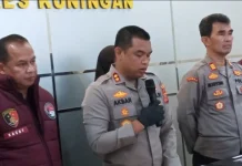 Bertani Ganja di Rumah, Pemuda Kuningan Berakhir di Penjara