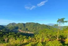 Ironi Kabupaten Konservasi, Demi Wisata Puncak Mayana Digunduli, Warga Krisis Air