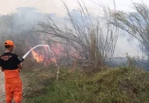 Karhutla Meluas di Majalengka, 10,85 Hektare Lahan Hangus dalam Sepekan