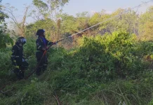 Api Lahan Dekat Permukiman di Kuningan Berhasil Dipadamkan, Tak Ada Korban Jiwa