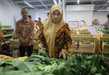 Rumah Sayur Kuningan Siap Serap 20 Ton Hasil Panen per Hari