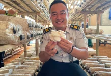 Lapas Indramayu Petik Hasil Budidaya Jamur, Bekal Baru bagi Warga Binaan