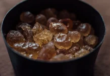 Mengenal Peach Gum Camilan Sehat Kaya Nutrisi Alami