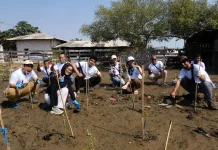 Pertamina Balongan Tanam 11 Ribu Mangrove di Pesisir Indramayu