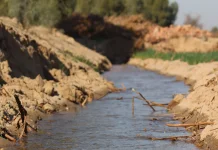 Distribusi Air Jadi Tantangan, meski Cadangan Waduk Jatiluhur Masih Aman